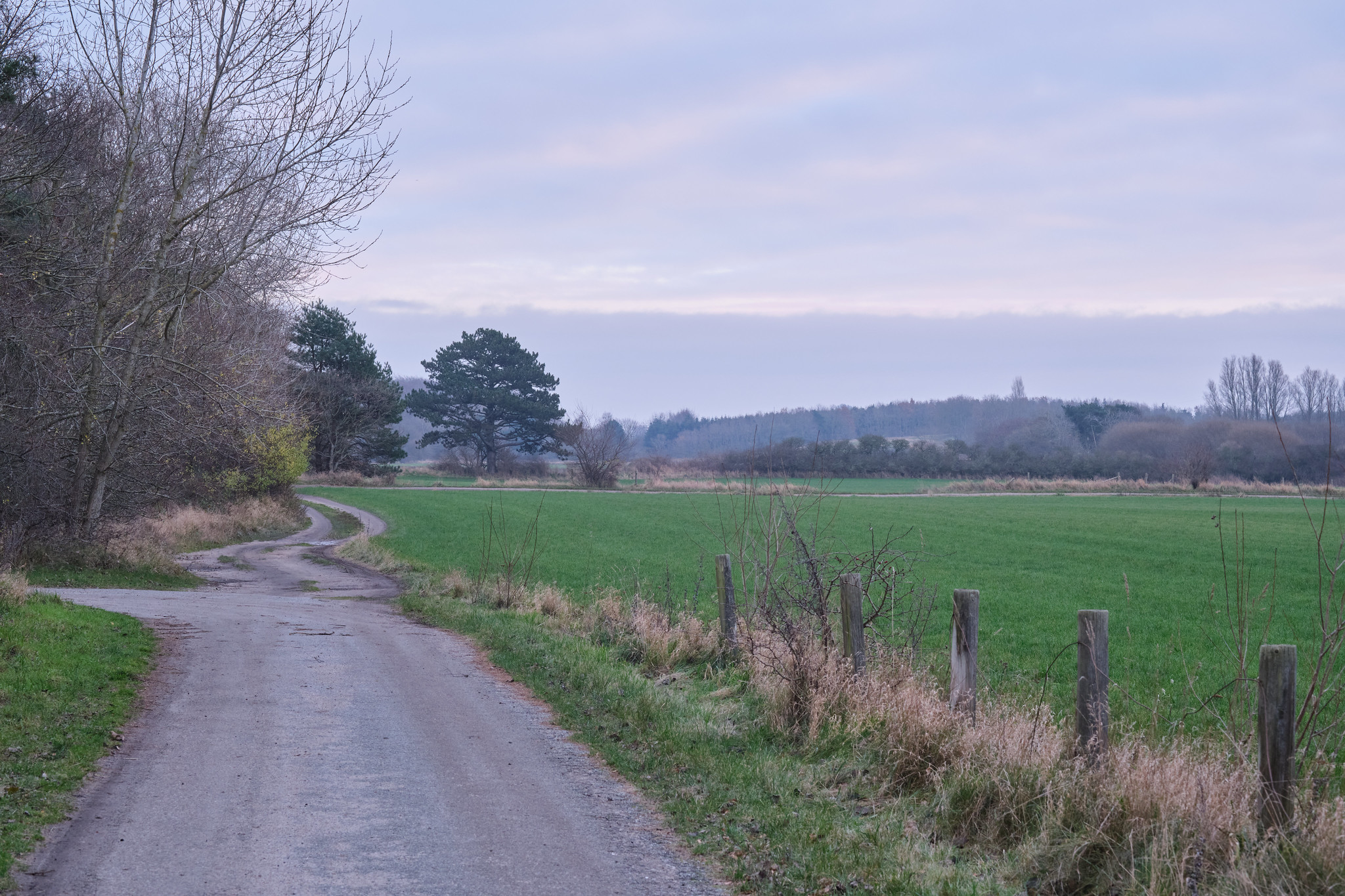 Borgerforslag om private fællesveje